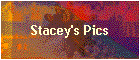 Stacey's Pics
